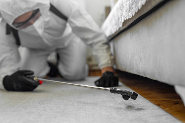 Professional Cockroach Control technician working in Earlham, IA